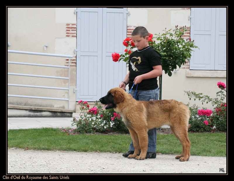 Clin d'oeil du royaume des saints uriels